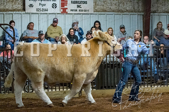 mayes__county_fair_beef_3520