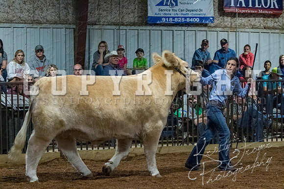 mayes__county_fair_beef_3521