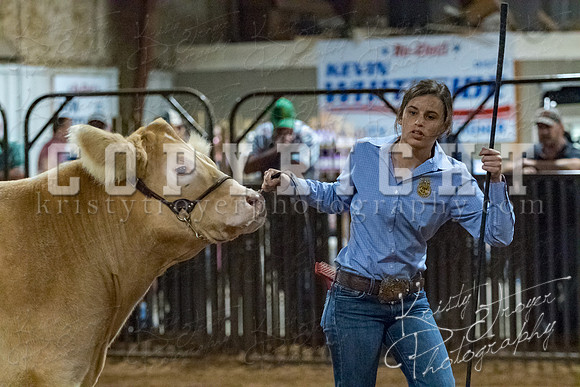 mayes__county_fair_beef_3522