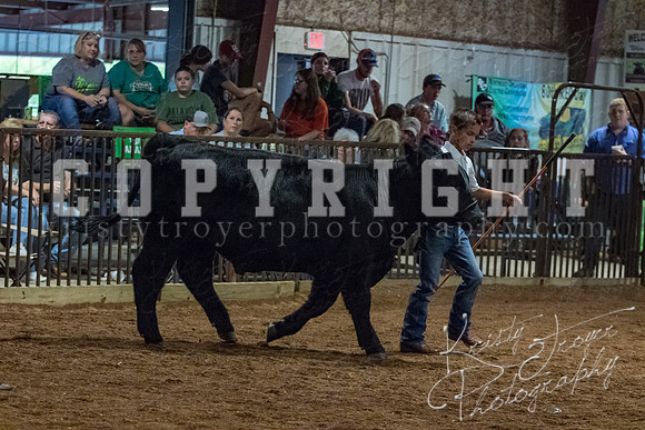 mayes__county_fair_beef_3524