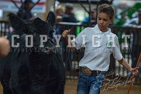 mayes__county_fair_beef_3525