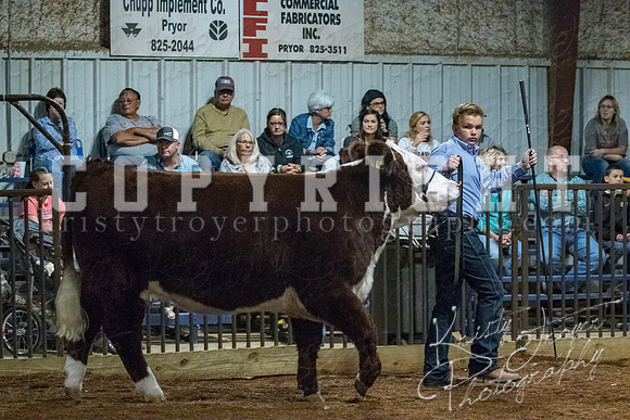 mayes__county_fair_beef_3526