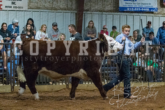 mayes__county_fair_beef_3527