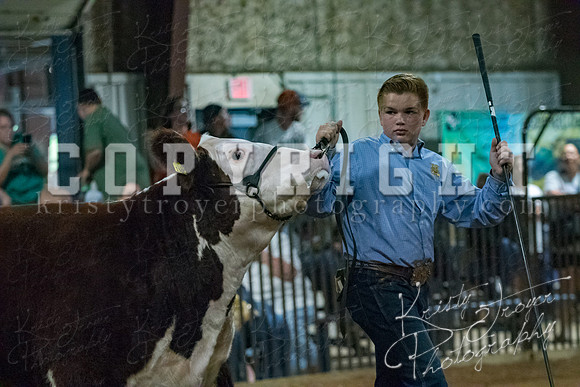 mayes__county_fair_beef_3528