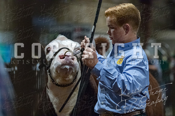mayes__county_fair_beef_3529