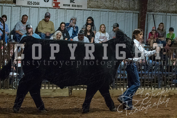mayes__county_fair_beef_3530