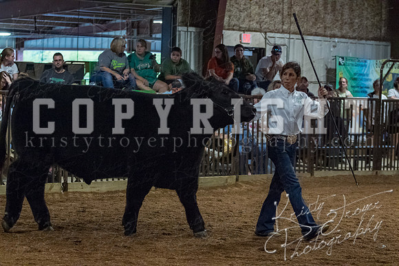 mayes__county_fair_beef_3532
