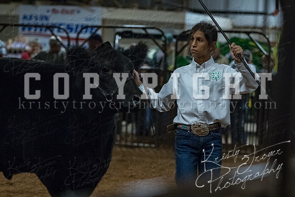 mayes__county_fair_beef_3533