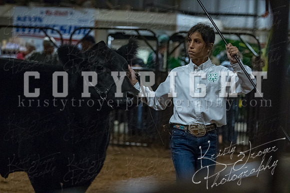 mayes__county_fair_beef_3534