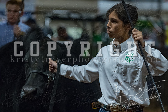mayes__county_fair_beef_3535