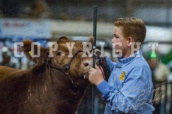 mayes__county_fair_beef_3537