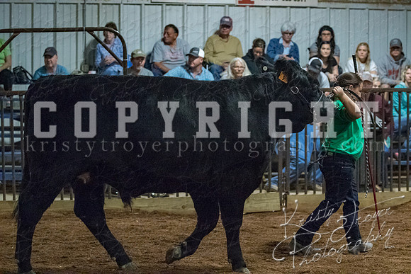 mayes__county_fair_beef_3538