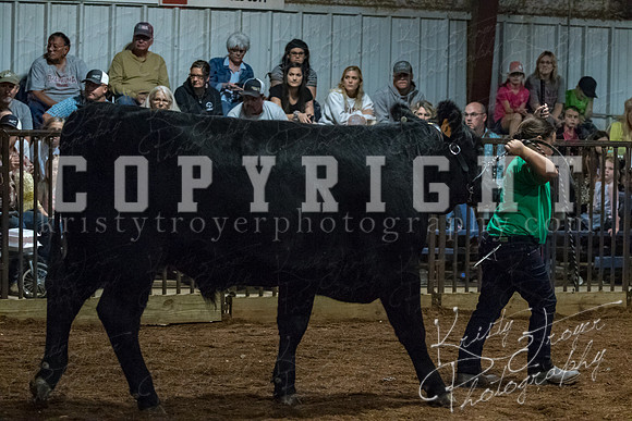 mayes__county_fair_beef_3539