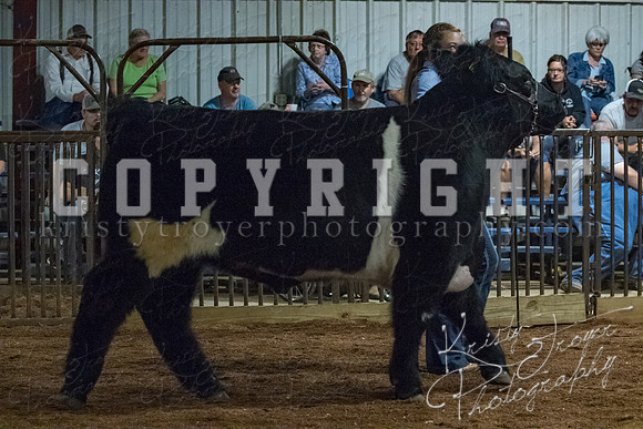 mayes__county_fair_beef_3540