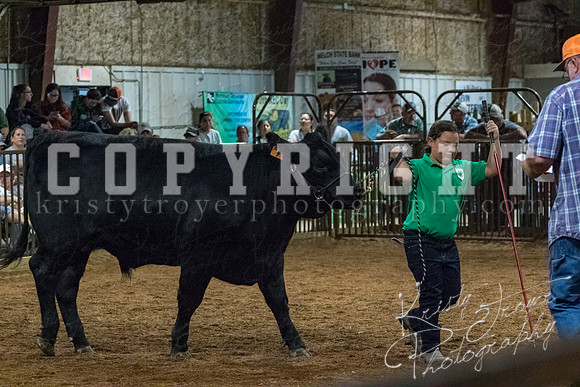 mayes__county_fair_beef_3541