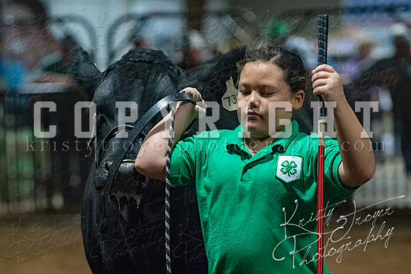 mayes__county_fair_beef_3542