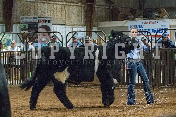 mayes__county_fair_beef_3543