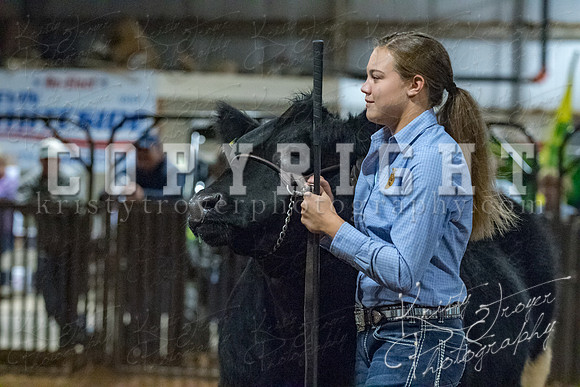 mayes__county_fair_beef_3545