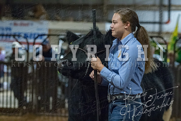mayes__county_fair_beef_3546