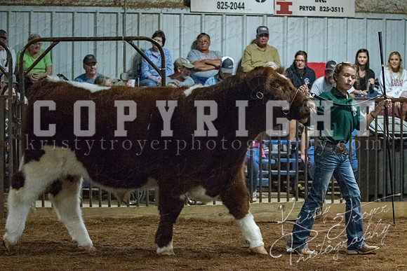 mayes__county_fair_beef_3547