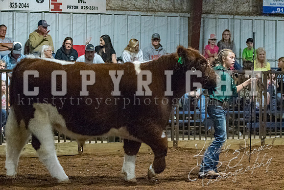 mayes__county_fair_beef_3548