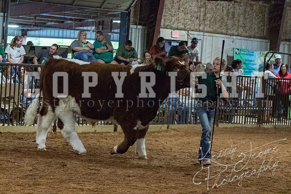 mayes__county_fair_beef_3549