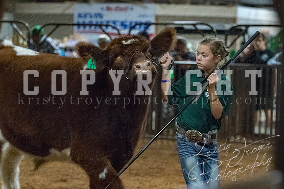 mayes__county_fair_beef_3551