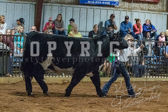 mayes__county_fair_beef_3552