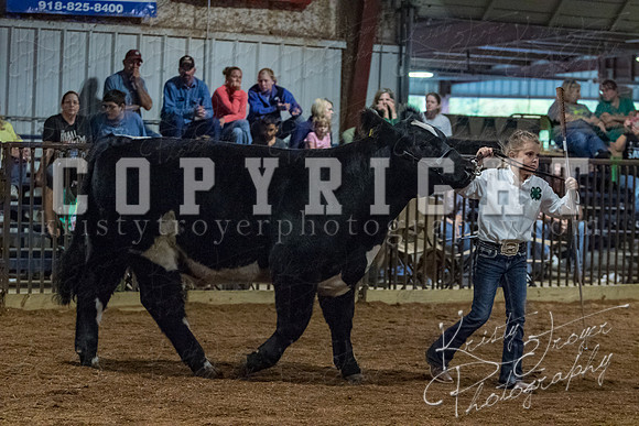 mayes__county_fair_beef_3553