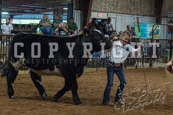 mayes__county_fair_beef_3554