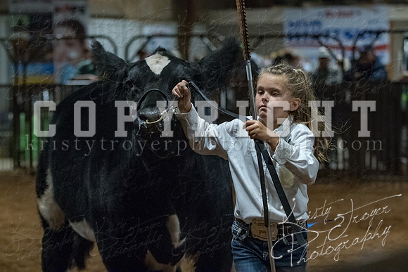 mayes__county_fair_beef_3555