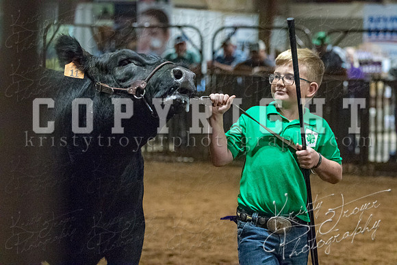 mayes__county_fair_beef_3556