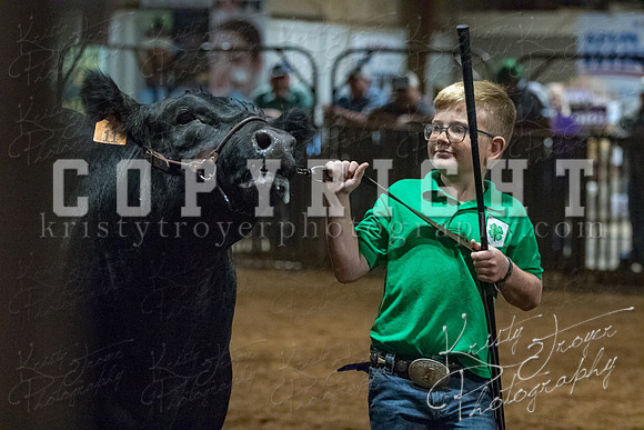 mayes__county_fair_beef_3557