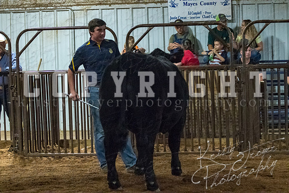 mayes__county_fair_beef_3561