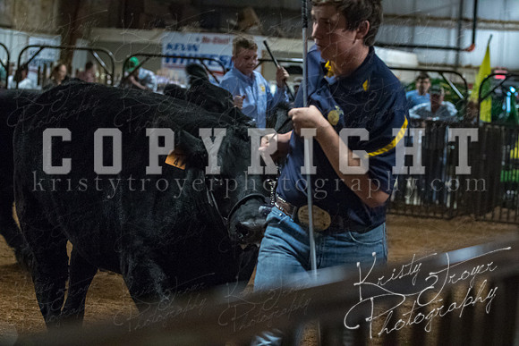 mayes__county_fair_beef_3562