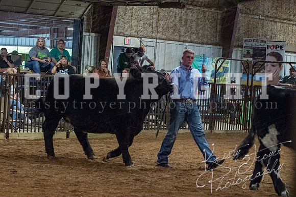mayes__county_fair_beef_3563
