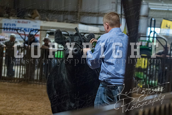 mayes__county_fair_beef_3564