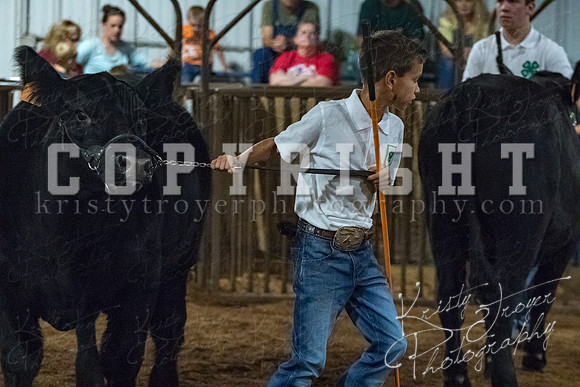 mayes__county_fair_beef_3565