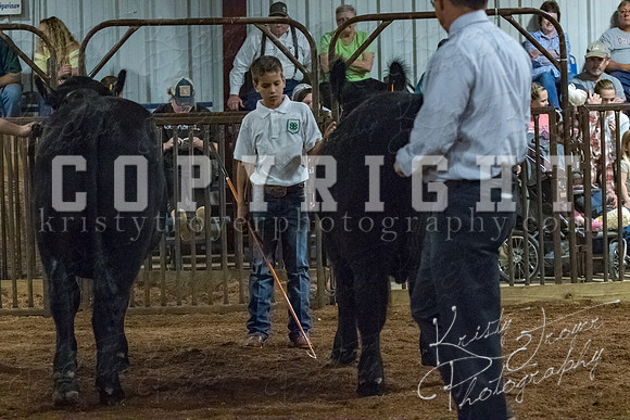 mayes__county_fair_beef_3567
