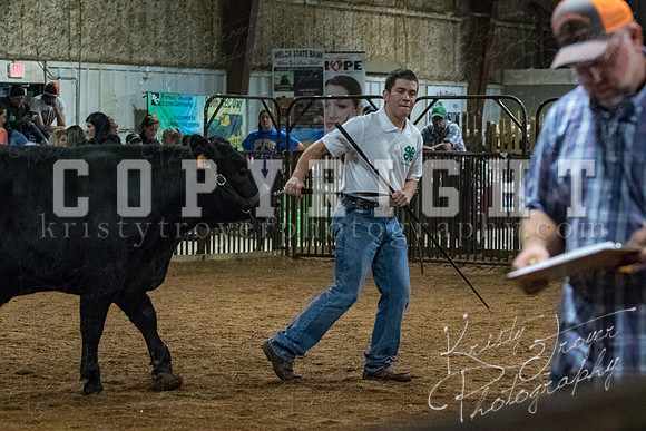 mayes__county_fair_beef_3568