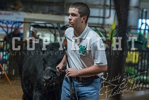 mayes__county_fair_beef_3569
