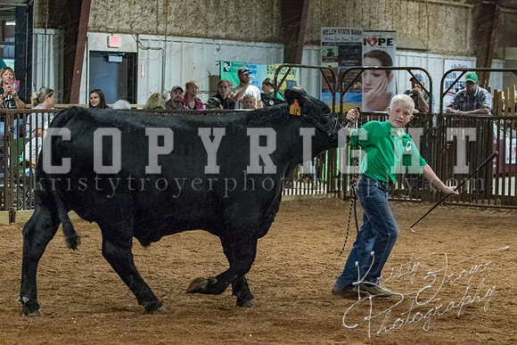 mayes__county_fair_beef_3571