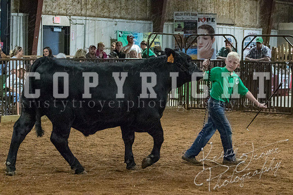 mayes__county_fair_beef_3572
