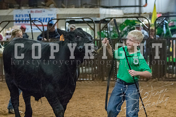 mayes__county_fair_beef_3573
