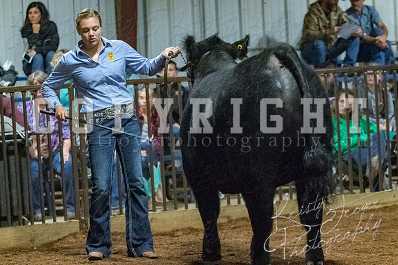 mayes__county_fair_beef_3576