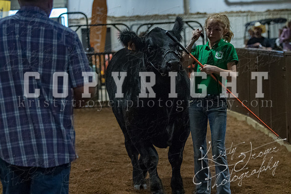 mayes__county_fair_beef_3578
