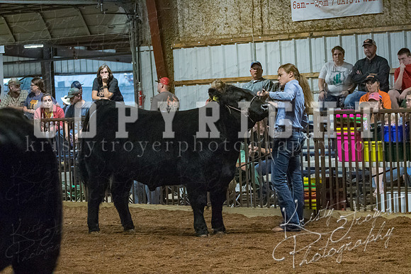mayes__county_fair_beef_3579