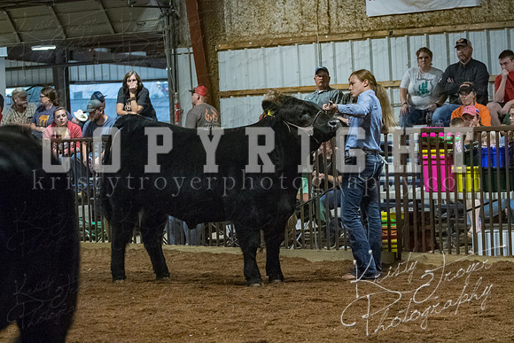 mayes__county_fair_beef_3580