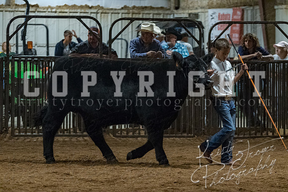 mayes__county_fair_beef_3581