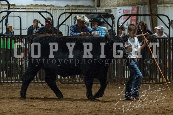 mayes__county_fair_beef_3582